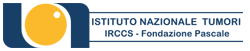 Istituto Nazionale Tumori IRCCS Fondazione G. Pascale